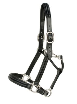 Silverleaf Double Raised Padded Halter