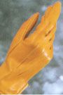 Tailored Sportsman Ladies' Professional Glove