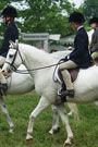 TS Boys Royal Hunter Jods 10 Green Beige