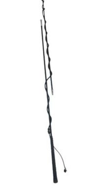 Roma Two-Piece Lunge Whip