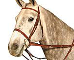 Kincade Martingale Rein Set