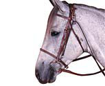 Kincade Chambon