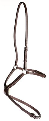Collegiate Raised Padded Figure 8 Noseband Best Price
