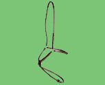 Collegiate Raised Padded Figure 8 Noseband
