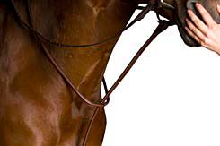 Kincade Raised Standing Martingale