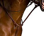 Kincade Raised Standing Martingale