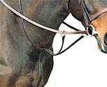 Kincade Flat Running Martingale