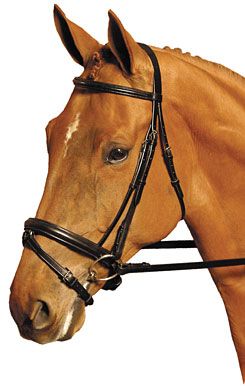 Collegiate Collection Crank Dressage Bridle