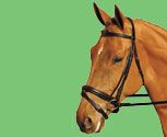 Collegiate Collection Crank Dressage Bridle