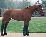 Roma Collection Deluxe Shipping Boots