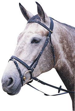 Wintec Flash Bridle