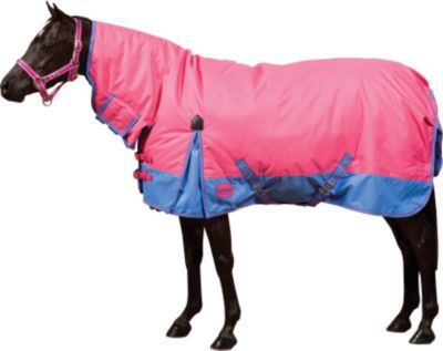 Weatherbeeta Pony Combo Mid Weight Turnout Pony Blanket