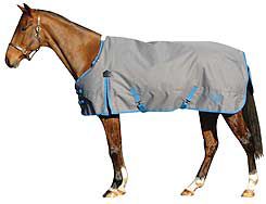 Saxon 600 Medium Weight Turnout Horse Blanket