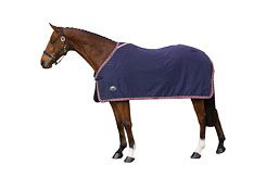 Weatherbeeta Deluxe Trim Horse Sheet