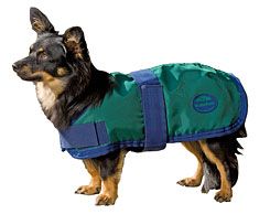 WeatherBeeta Kennel Dog Blanket