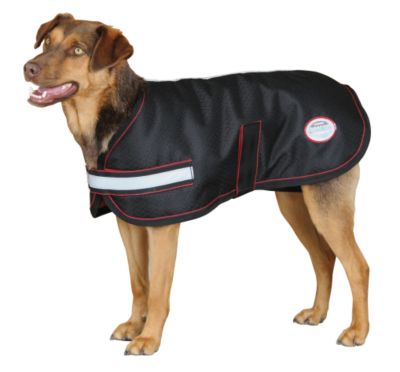 WeatherBeeta Orican Dog Blanket