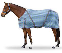 Weatherbeeta Continental Dress Horse Sheet