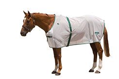 Saxon Basic Horse Fly Sheet