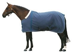 WeatherBeeta Pearl Bonded Fleece Dress Horse Sheet