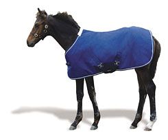 Weatherbeeta Landa Foal Blanket