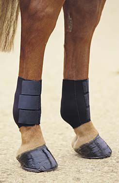 Roma Neoprene Fetlock Boots