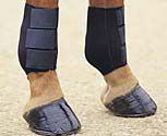 Roma Neoprene Fetlock Boots