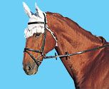 Roma Crochet Horse Ear Net