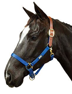 Roma Breakaway Halter
