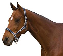 Roma Nylon Halter With Neoprene