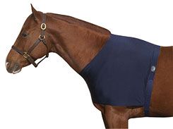 Roma Shoulder Guard