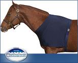 Roma Shoulder Guard