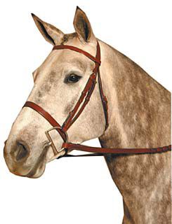 Kincade Flat Snaffle Bridle