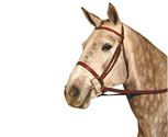 Kincade Flat Snaffle Bridle