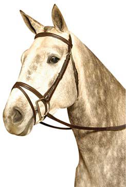 Kincade Lined Event Bridle