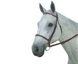 Kincade Plain Raised Bridle