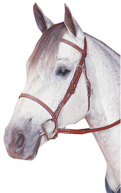 Kincade Raised Fancy Stitched Bridle