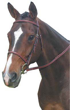 Kincade Square Raised Bridle