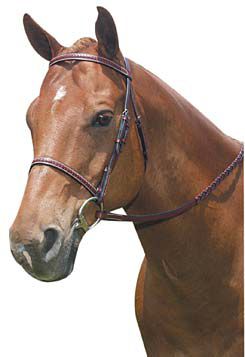 Kincade Raised Braided Bridle