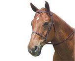 Kincade Raised Braided Bridle