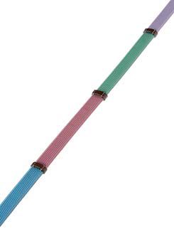 Kincade Pastel Rainbow Reins