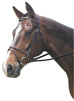 Collegiate Plain Raised Bridle With Flash