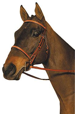Crosby Plain Raised Bridle