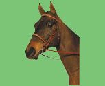 Crosby Plain Raised Bridle