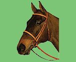 Crosby Raised Fancy Stitched Bridle