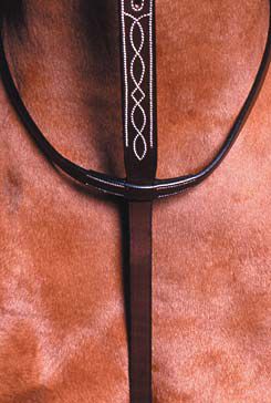 Collegiate Flat Running Martingale