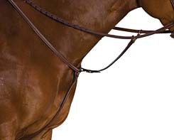 Collegiate Raised Breastplate Standing Martingale Best Price