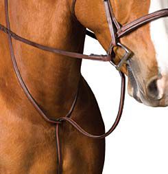 Collegiate Raised Standing Martingale
