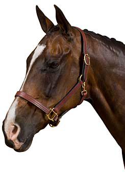 Collegiate Triple Stitch Leather Breakaway Halter