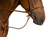 Crosby Raised Standing Martingale