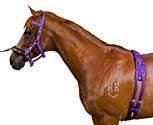 Kincade EquiGrip Lunge Kit